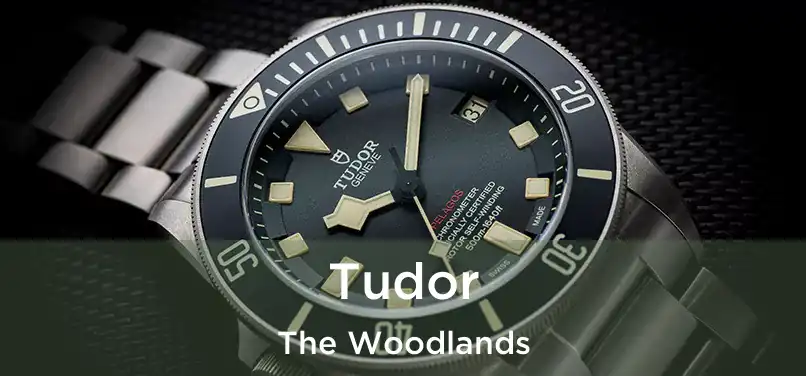 Tudor The Woodlands